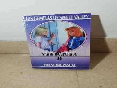 Visita inesperada-35 Gemelas de Sweet Valley
