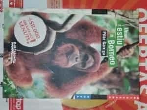 Un estiu a Borneo