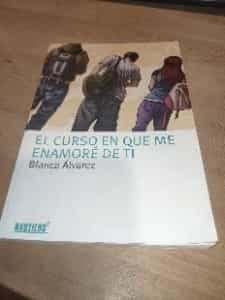 El curso en que me enamoré de ti