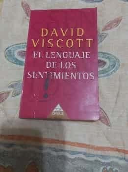 EL LENGUAJE DE LOS SENTIMIENTOS