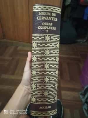 Don Quijote de la mancha