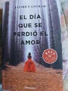 El día que se perdió el amor