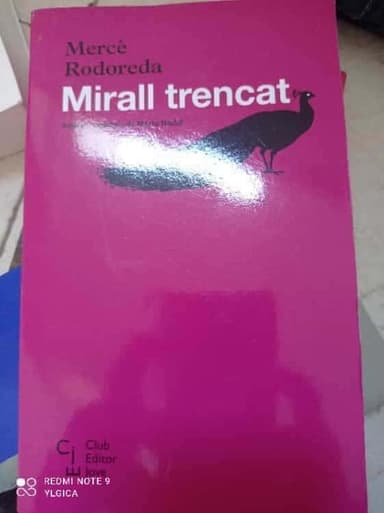 Mirall Trencat
