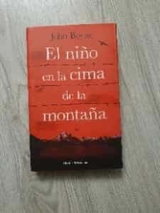 El niño en la cima de la montaña 