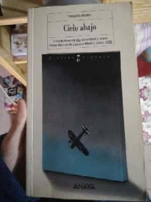 Cielo abajo