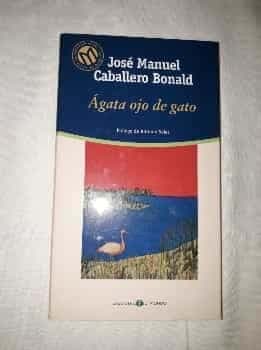 Ágata ojo de gato.