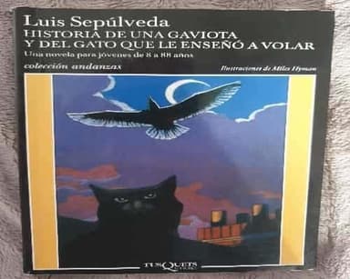 el gato que le enseño a una gaviota a volar