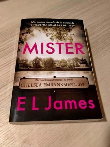 Mister (En Español)