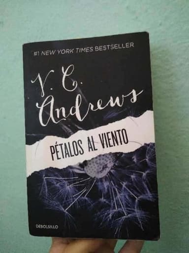 Petalos al viento