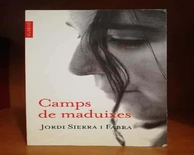 Camps de maduixes
