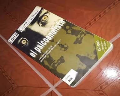El psicoanálista