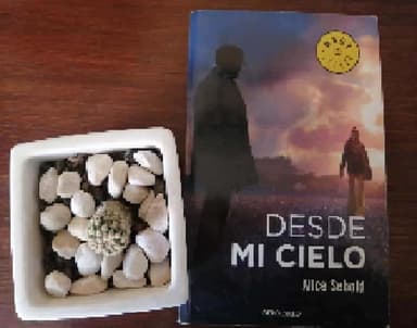Desde mi cielo