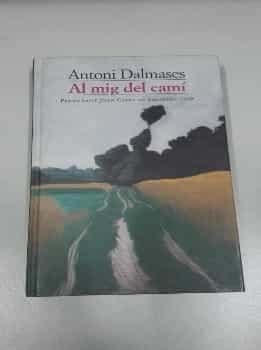 Al mig del camí