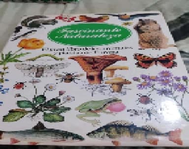 fascinante naturaleza