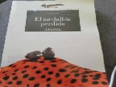 El medallon perdido