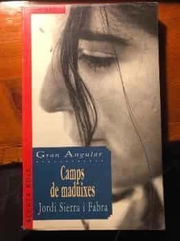Camps de maduixes