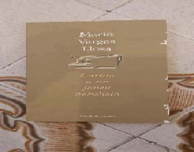 Cartas a un joven novelista 