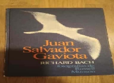 Juan Salvador Gaviota