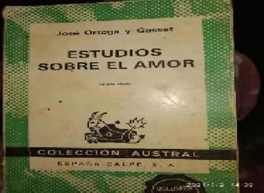 Estudios sobre el amor