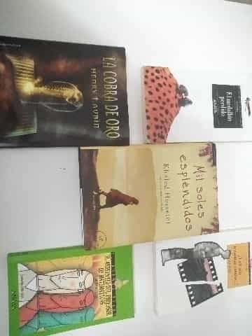 Lote de libros increibles