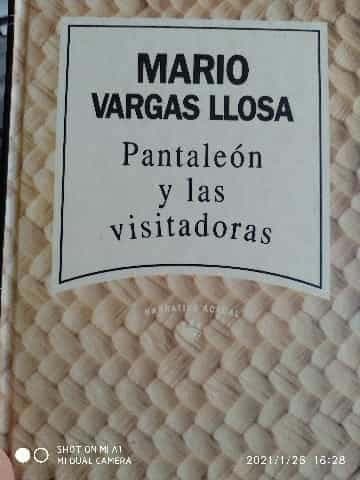 Pantaleón y las visitadoras