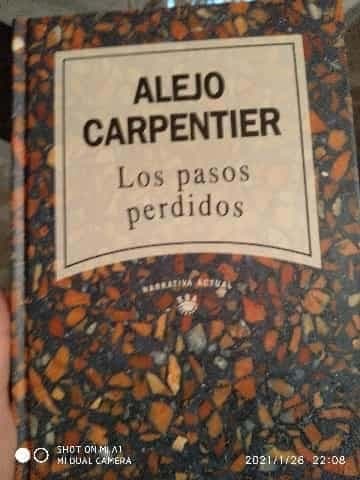 LOS PASOS PERDIDOS