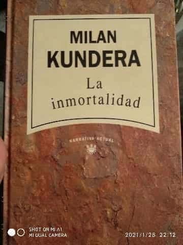 El turista accidental
