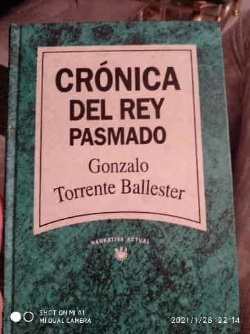 Crónica del rey pasmado