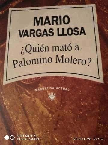 Quien mato a Palomino Molero