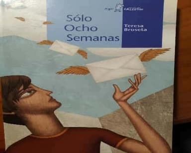 sólo ocho semanas
