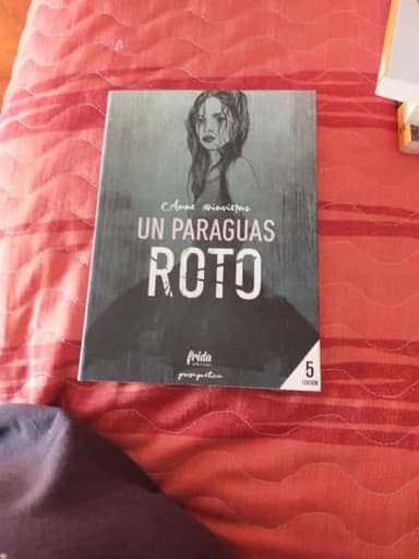 Un paraguas roto