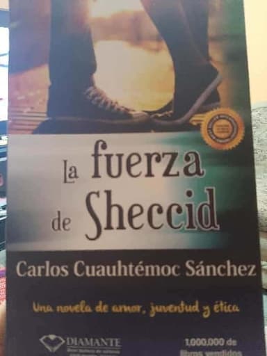 La Fuerza de Sheccid