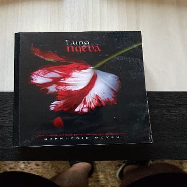 Luna nueva