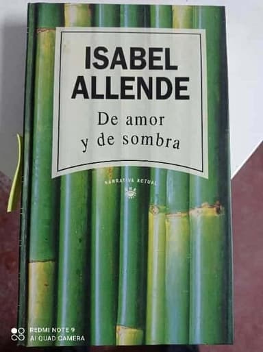 De amor y de sombra