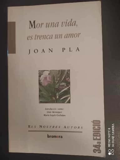 Mor una vida, es trenca un amor