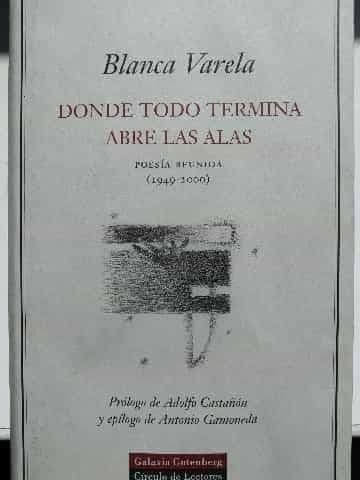 Donde todo termina abre las alas