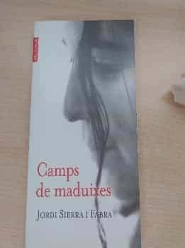 Camps de maduixes