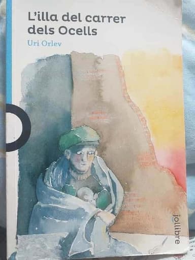 Lilla del carrer dels ocells