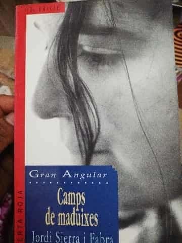 Camps de maduixes