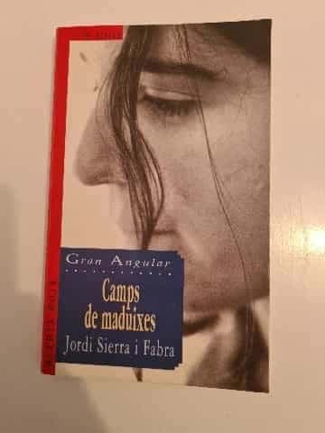 Camps de maduixes