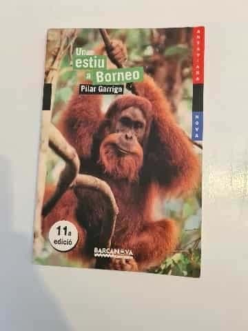 Un estiu a Borneo
