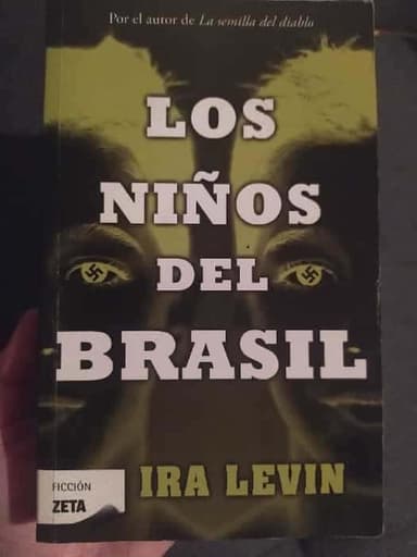Los niños del Brasil