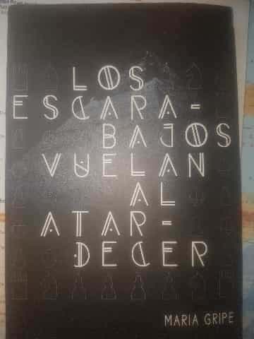 Los escarabajos vuelan al atardecer