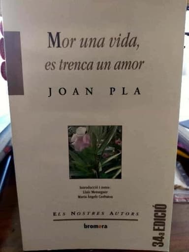 Mor una vida, es trenca un amor