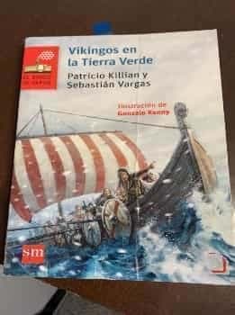 VIKINGOS EN LA TIERRA VERDE