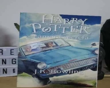 Harry Potter y la cámara secreta 