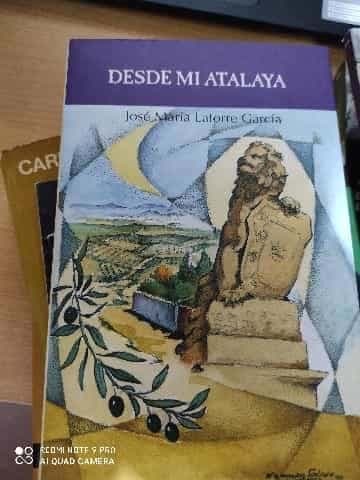 desde mi atalaya