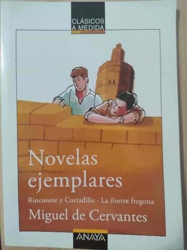 Rinconete Y Cortadillo/la Ilustre Fregona (Clasicos a Medida.)