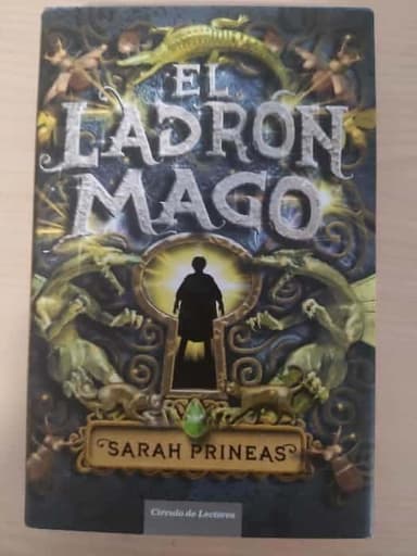 El ladrón mago