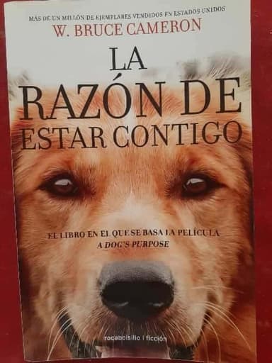 La razón de estar contigo.